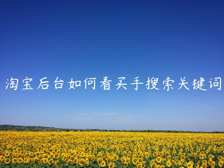 淘寶后臺(tái)如何看買(mǎi)手搜索關(guān)鍵詞